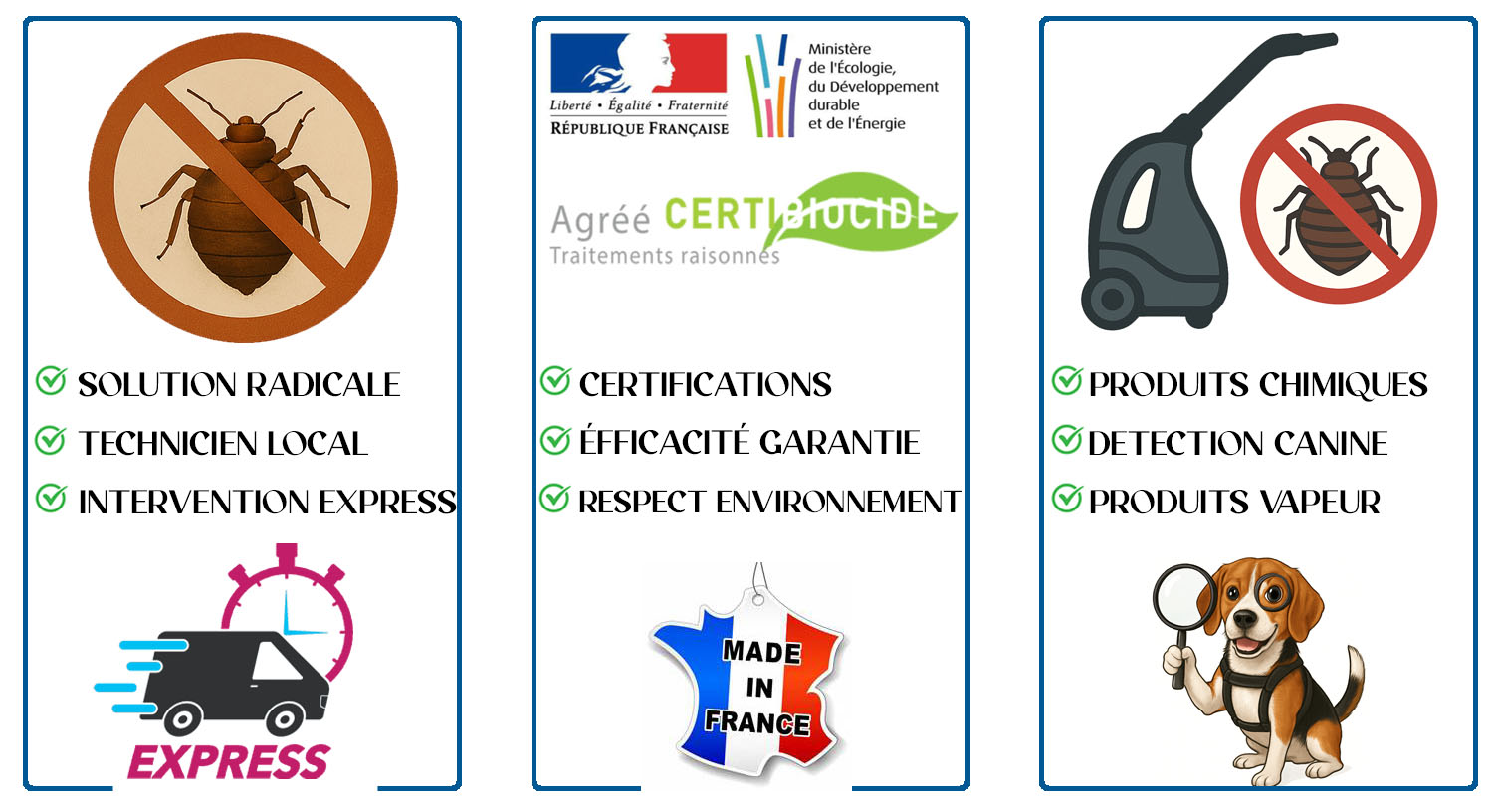 Punaises de Lit Villecresnes